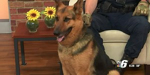 MSP explains its specialty units