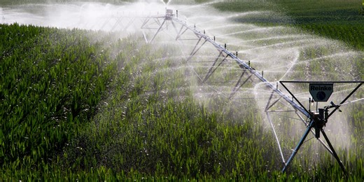 University of Nebraska research provides irrigation rules to save water, increase profits