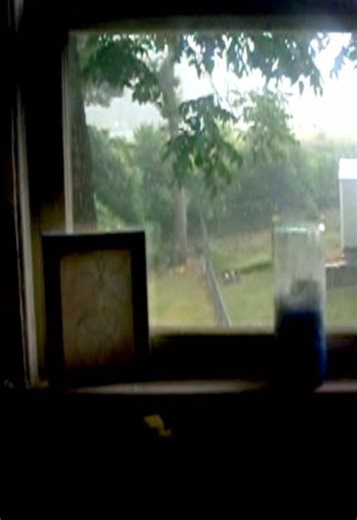 i hate the rain and i’m scared of fog. #rain #fog