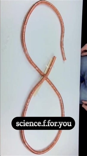 Science Project Working Model