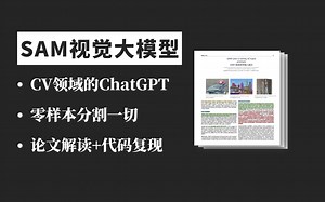 【论文解读 代码复现】计算机视觉的ChatGPT！CV过时了？1小时跟着同济大佬搞定SAM模型—视觉大模型Segment Anything/图像处理