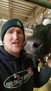 311K views · 10K reactions | I've seen the phrase "buy humane, buy local" lately and I don't think it's telling the Gods honest truth. It doesn't matter where you buy your food from, it was raised humanely. (yes, there's always the exception). This is a complicated topic so this isn't the end of the conversation. What do you think? | IowaDairyFarmer | Facebook