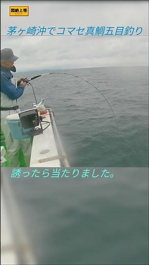2026年6月8日 茅ヶ崎港からコマセ真鯛五目釣り。