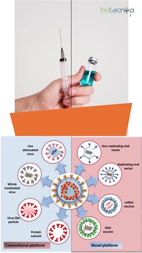 mRNA vs Traditional Vaccines — Which One Wins? 溺 #mrnavaccines #traditionalvaccines | Biotecnika | Facebook