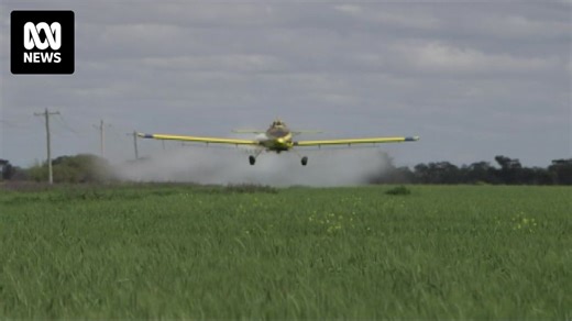 Spray Strife: A rift over aerial spraying of pesticides