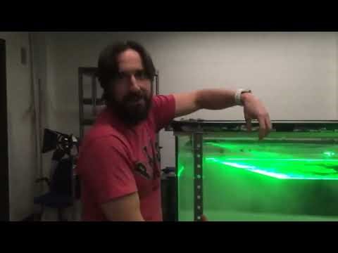 Principles of Tomographic Particle Image Velocimetry