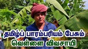 660K views · 12K reactions | தமிழ்ப் பாரம்பரியம் பேசும் வெள்ளை விவசாயி Krishna Mckenzie Learn more about the incredible benefits of local foods from www.facebook.com/krishnasolitudeauroville | Dinamalar - World's No 1 Tamil News Website | Facebook