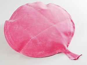 Is it normal to not fart daily? [2025] | QAQooking.wiki