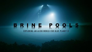 20K views · 39 reactions | Happy #WomensHistoryMonth! We are so lucky...