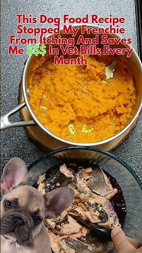 Can A Dog Food Recipe REALLY Help Your French Bulldog's Itchy Skin?