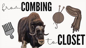 1.2K views · 72 reactions | We're super oxcited to bring you the...