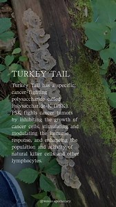 3.2K reactions · 861 shares | If you remember spotting Turkey tail in...
