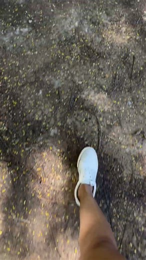 My favorite 😍 place.