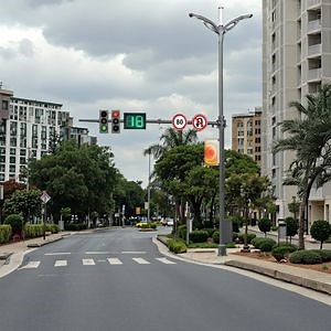 [Hot Item] Innovative Smart LED Street Lighting with Integrated Surveillance Features