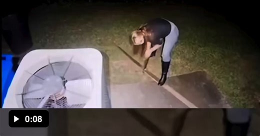 Fastest way to learn how physics work - Video