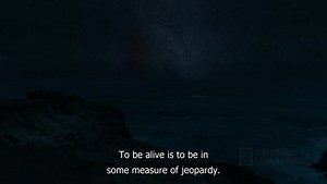 Cosmos Possible Worlds S01E12 ( Coming Of Age In The Anthropocene ) 1080p by Vaibhav khade : Ann druyan : Free Download, Borrow, and Streaming : Internet Archive