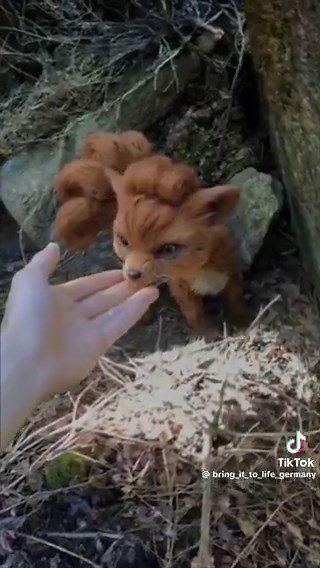 Vulpix Pokemon Live action 🐺