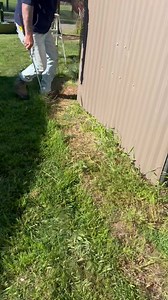 32K views · 428 reactions | Red bellied black snake relocation from a property at Fitzroy falls , the property owners dog was acting strange & alerted its owner that there was a snake nearby . Win win snake & dog injury free  | Southern highlands & south coast snake catchers | Facebook