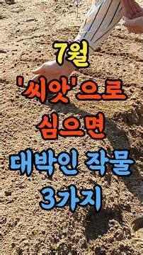 7월 씨앗으로 심으면 대박인 작물 3가지