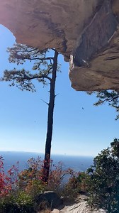 Ashley Jenkins on Reels