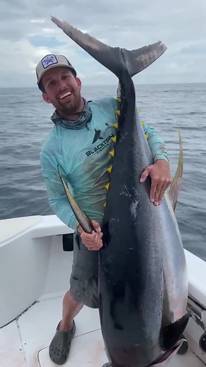 Massive Yellowfin Tuna Catch on the Boat