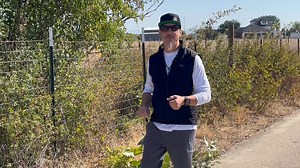 Beyond Desire & Diminishment