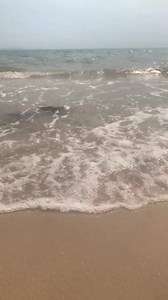 10K views · 1.3K reactions | Feels good to slow down. | Anson Mount | Facebook