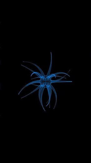 Wireframe Brain Cell Loop | Futuristic Neural Network Overlay (Free to Use)