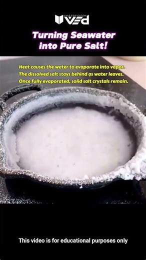 Turning Seawater into Pure Salt! 🌊➡️🧂 Real Science Explained #shorts