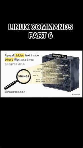 🐧 LINUX TEXT TRANSFORMATION