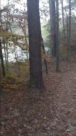 Indian Springs State Park November 2025