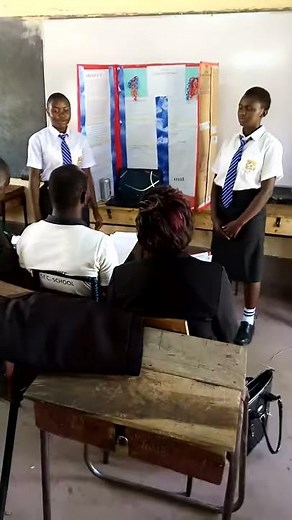 The Kenya Science and Engineering fair