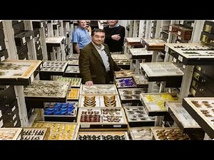 Insect collection | starting your insect collection |Entomology lectures | Module 01.08