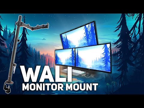 Wali Monitor Mount Review