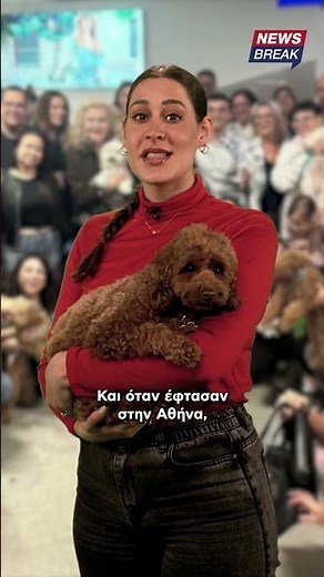 🐾🇦🇪 Όταν υπάρχει θέληση, βρίσκεται και ο τρόπος!