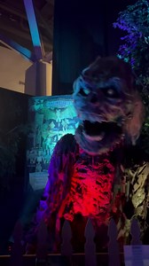 1.6K views | MI Bright Lights on Reels | Facebook