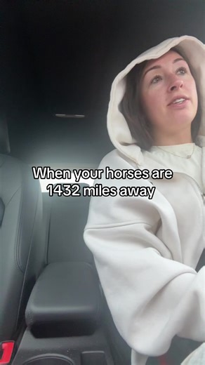 Horses 1432 Miles Away: A Unique Journey