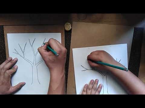Easy drawing trees