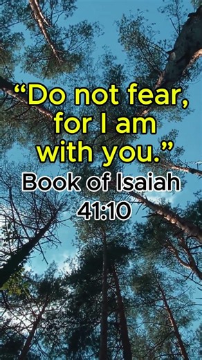 DAILY BIBLE VERSE | FOR HARD WORKERS #25