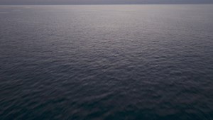 94K views · 3.2K reactions | The day has come! The Olympics are here....