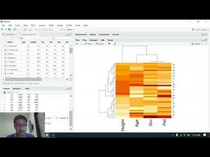 Heatmap Dendogram Clustering Rstudio