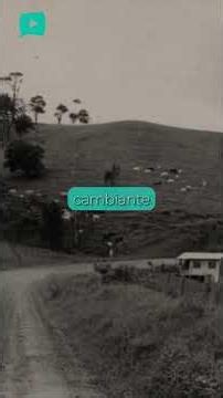 Tronadora: the corner of Guanacaste where history changed the landscape 🌄