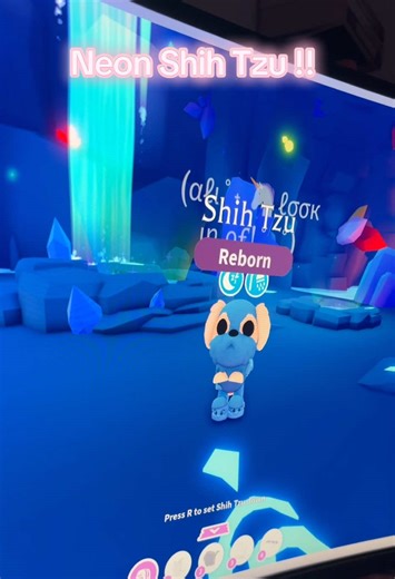 Making a neon Shih Tzu!! I definitely want to make a mega now! And tysm for the person who gave the 2 for free in my live 🩵: Filler post for before I edit my other lps unboxing’s! #adoptme #fyp #neon #adoptmeroblox #roblox