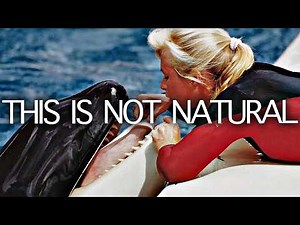 Trapped for Profit: The Dirty Marine Parks Business | Seed Documentary