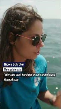 Korallen retten #ndr #doku #korallen