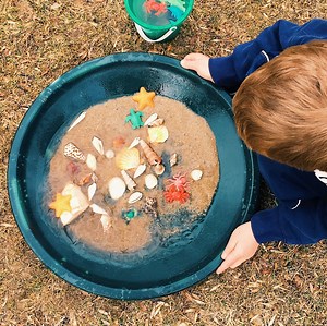 DIY Tide Pool – Ocean Science Activity for Kids