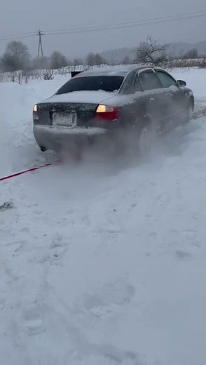 Audi A4 B6 Quattro засадили