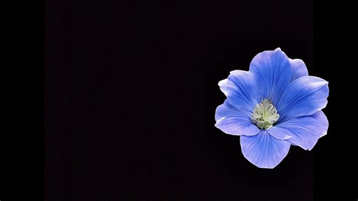 Discover Akon's Latest Lyrics for Right Now