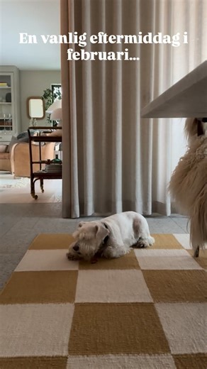 Anna-Karin Sånnek on Instagram: "Reklam för @romoglobal Nu har vi hunnit ha vår nya robotdammsugare DJI ROMO P i några veckor och jag är så nöjd! Det finns så mycket jag gillar. Den starka sugkraften på 25 000 Pa är givetvis en sak. De dubbla robotarmarna som kommer åt överallt, även i alla kanter och hörn. Armarna fälls ut när det behövs, så du slipper tänka på det själv. ROMO P moppar också golvet! Den har en självrengörande docka som tvättar moppdynorna i varmt vatten, torkar dem med varmluft