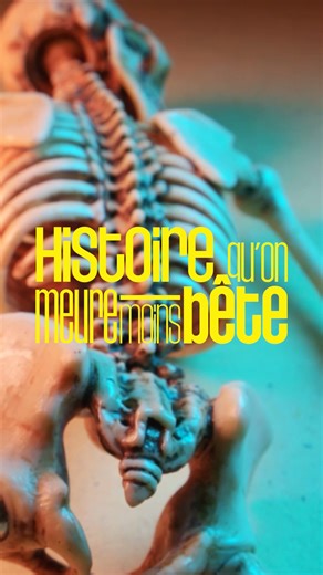 🧬 Histoire qu’on meure moins bête 👉 Et si l’humanité avait déjà frôlé la disparition… sans qu’on le sache vraiment ? Dans ce nouvel épisode, @Cissou333 t’emmène à un moment clé de notre histoire. Une période où tout aurait pu basculer. Où nous aurions pu ne jamais être là. Un phénomène invisible, inscrit au plus profond de nous, qui raconte à quel point notre existence tient parfois à très peu de choses. #Humanité #Évolution #HistoireQuonMeureMoinsBête #HomoSapiens